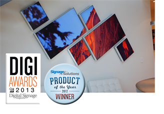 Mosaic -award -DSE