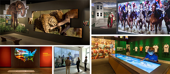 Museum Solutions Banner 3
