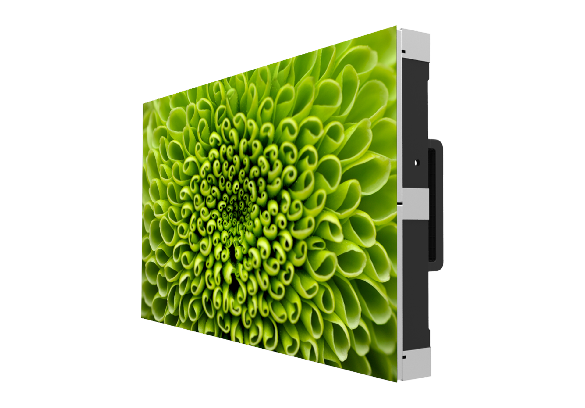 Transparent OLED Displays | Planar for Plant Transparent Png
83fiz Transparent OLED Displays | Planar for Plant Transparent Png
83fiz