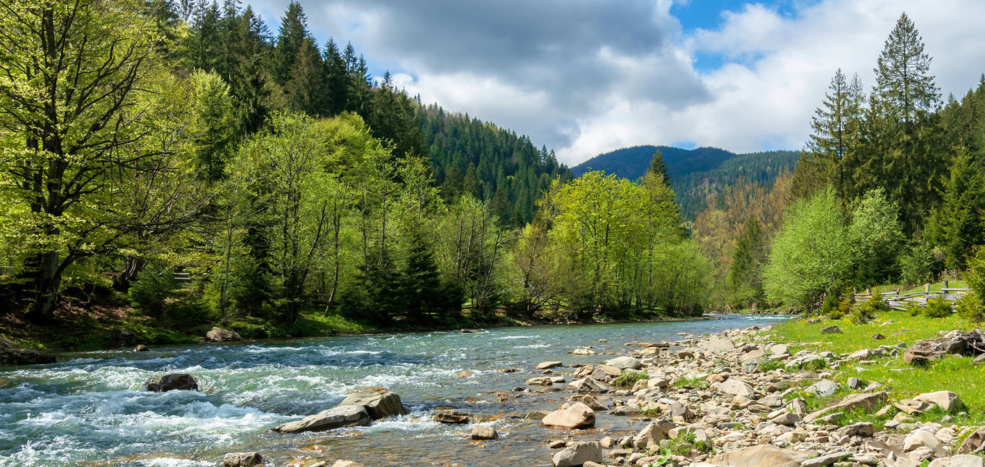 About Green Hero 2200X1042 Image