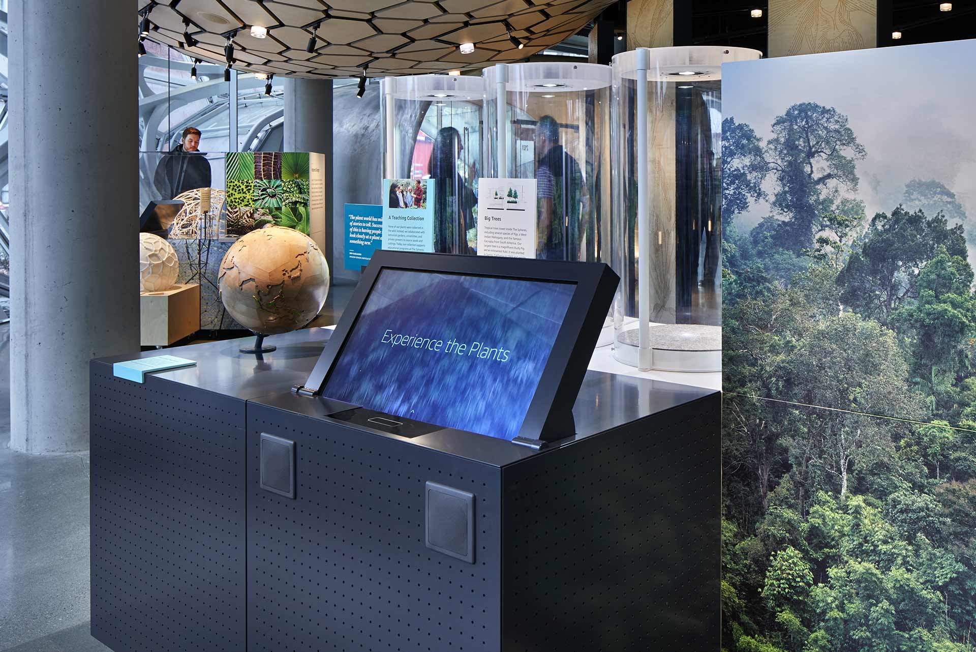 Amazon Understory at The Spheres Image