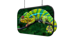 Chameleon Display Main