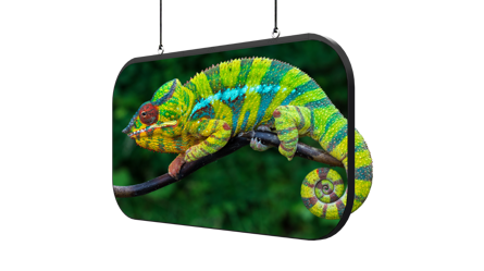 Chameleon Display Main
