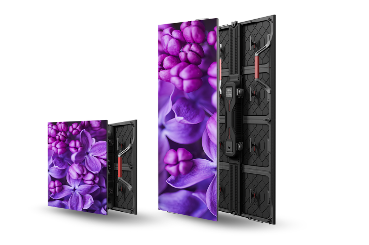 CLI News (730 X 486 Px) (1) Image