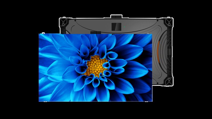 TVF Blue Flower Front 1714X964 Image