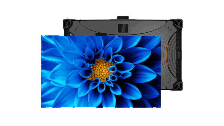 TVF Blue Flower Front 1714X964 Image