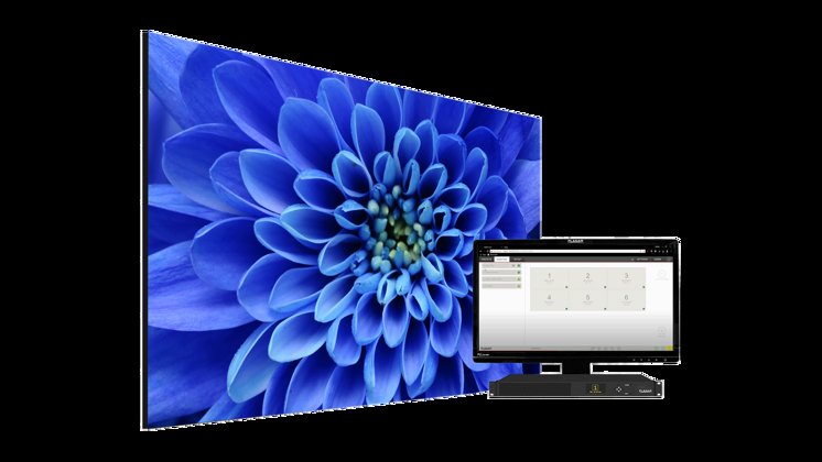 TVF Blue Flower Right Angle VC 1714X964 Image