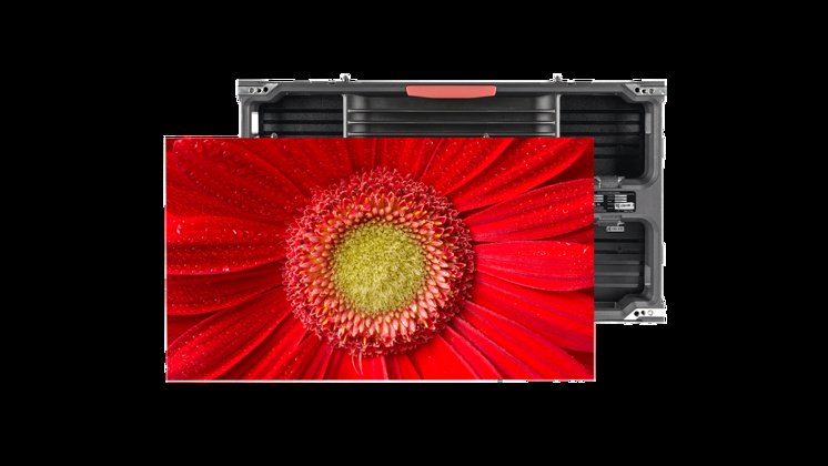 MGP Red Flower Front 1714X964 Image