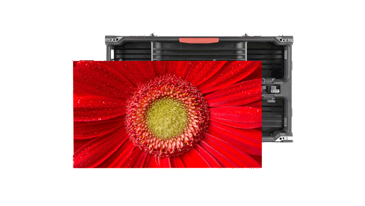 MGP Red Flower Front 1714X964 Image