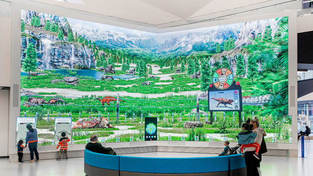 Video Wall Display |