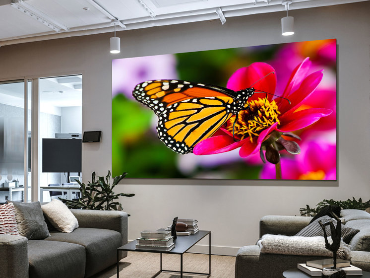 MGP Butterfly Environment 1712X1284 Image