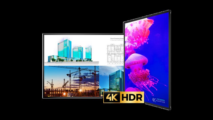 Urx 4K Bug 1714X964 Image