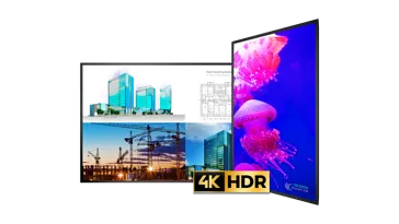 Urx 4K Bug 1714X964 Image