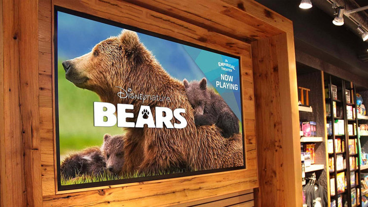 Omsi Bear Installation 1714X964 Image