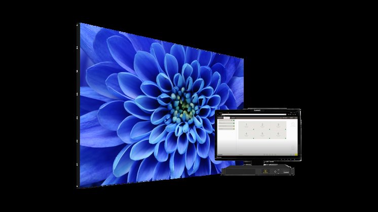 Tvf Vc Walldirector 1714X964 Image