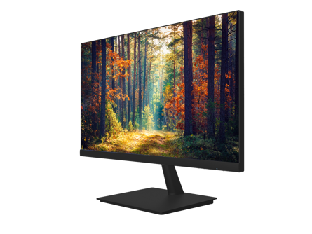 Pxn2480mw Black Angled Front 1439X1080
