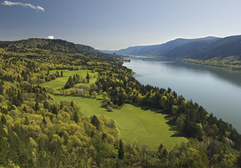 Planar Environmental Initiatives