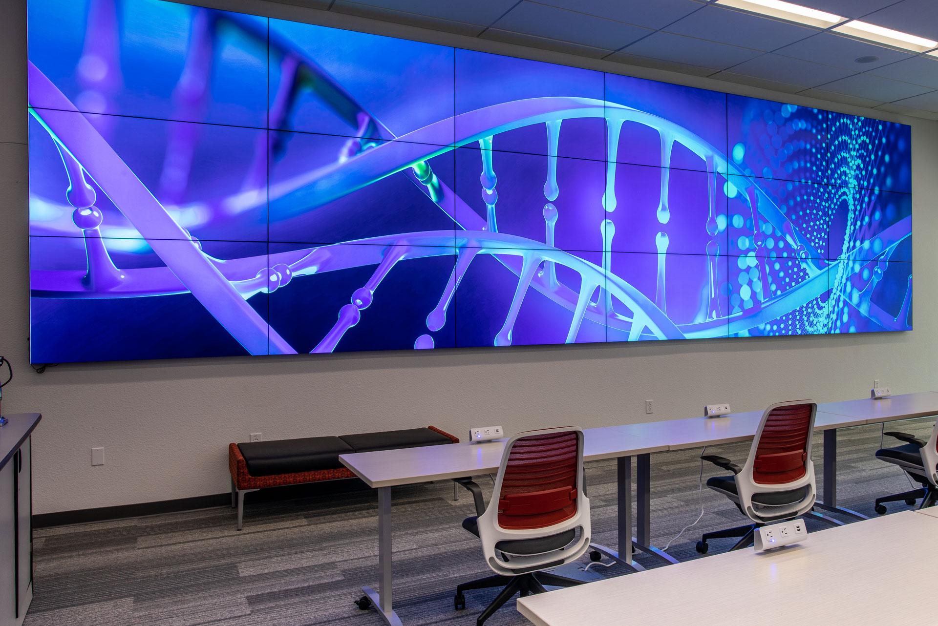 University of New Mexico Image