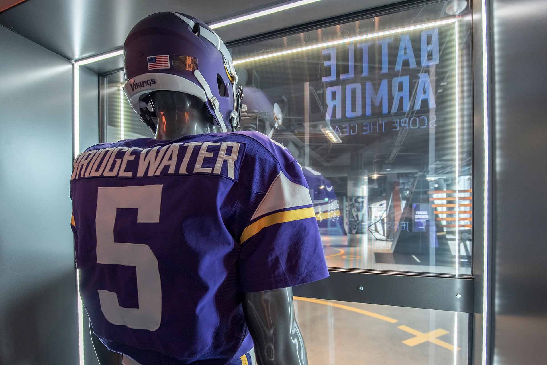 Minnesota Vikings Football Image