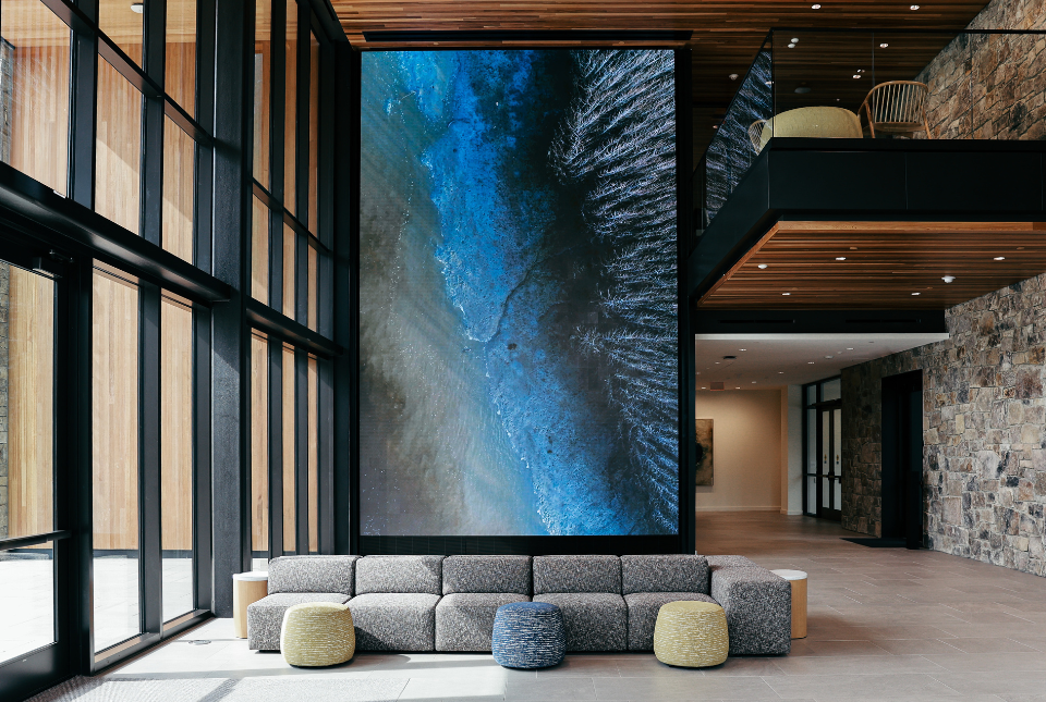 A Window into the Natural World Image