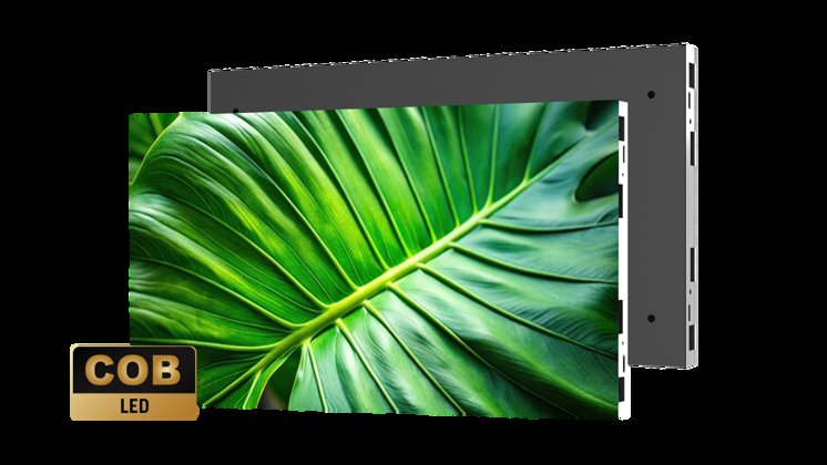 Komodo Cabinet With Badge Image