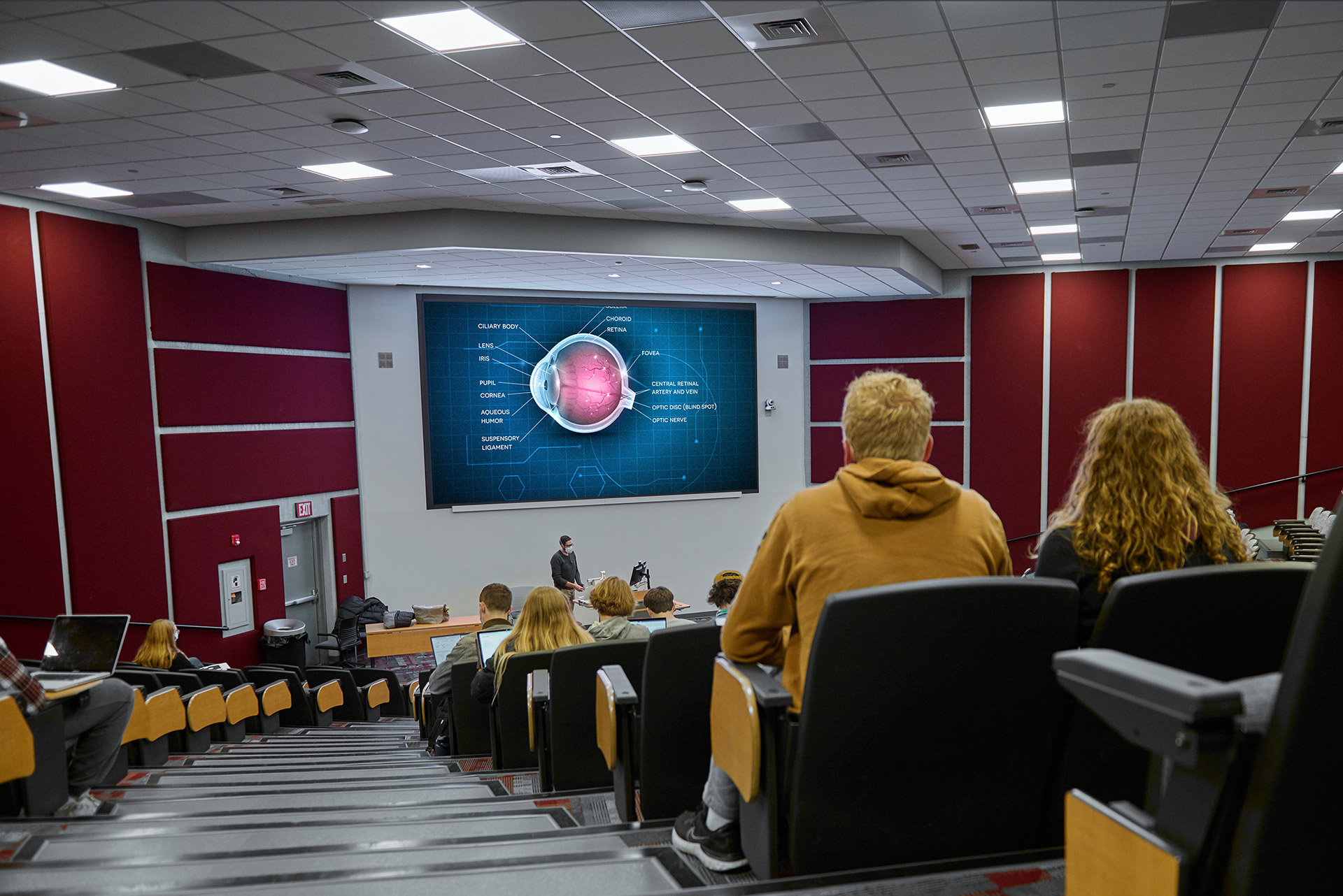 University of Montana Image