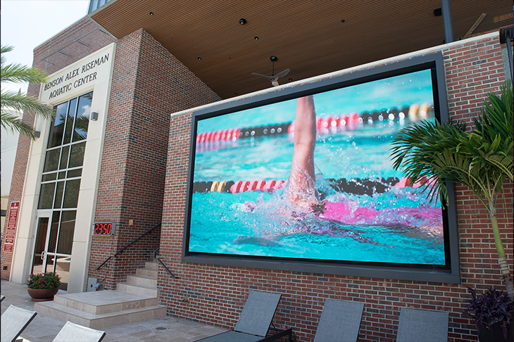 University Tampa Swim 730X486 Image