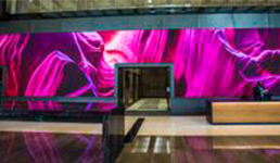 Lively Lobbies 258X150 Image