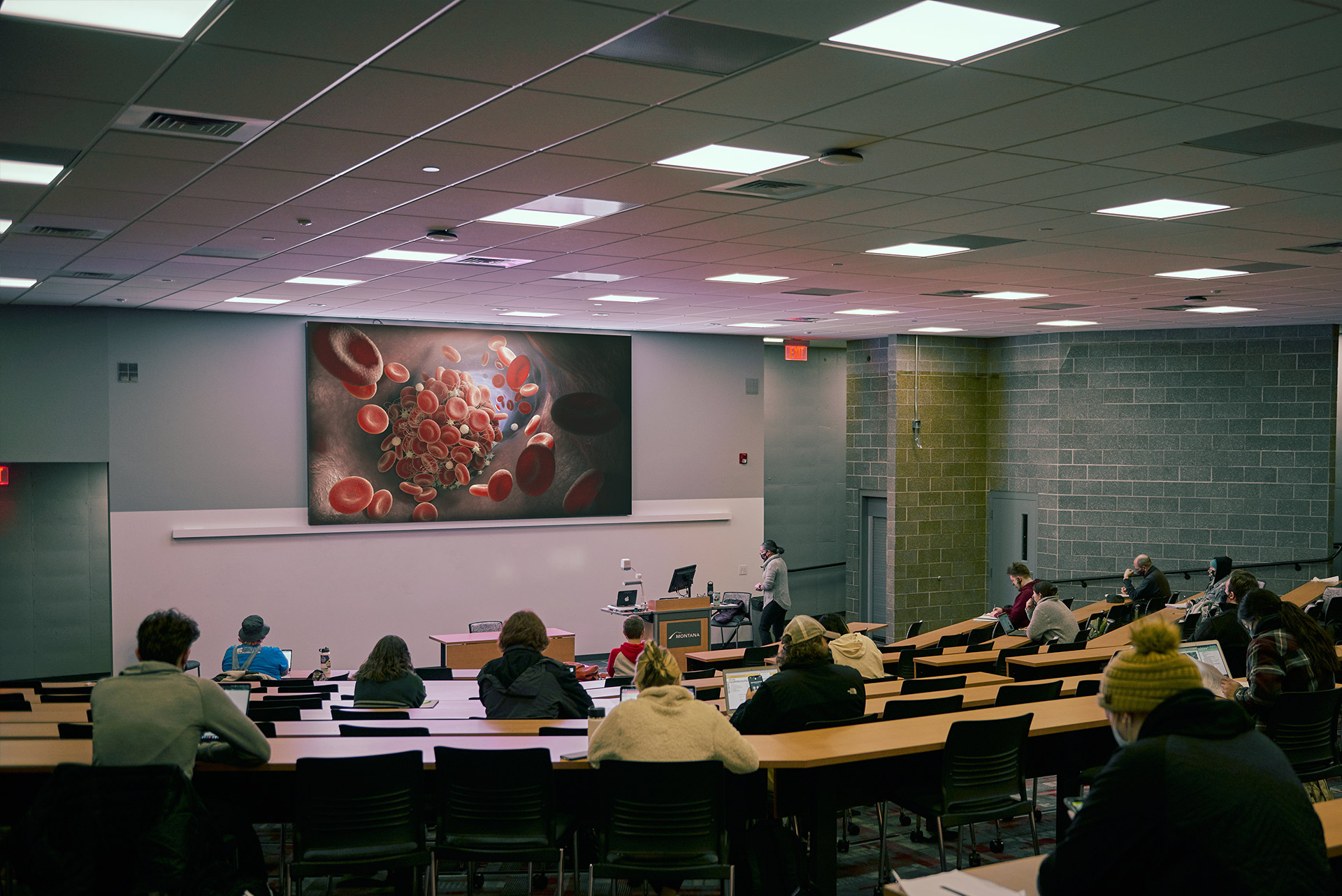 University of Montana Image