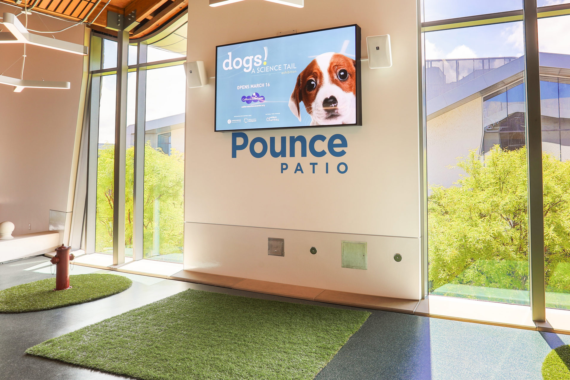 Wallis Annenberg PetSpace Image