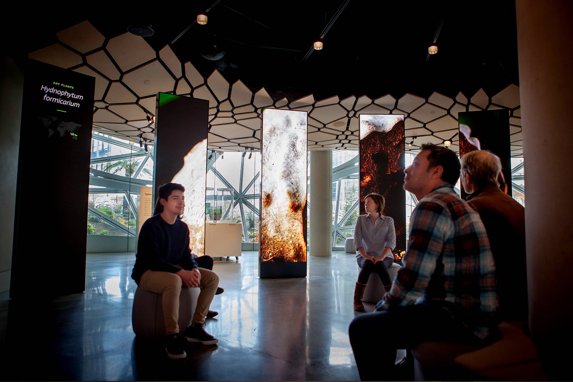 Amazon Understory at The Spheres Image