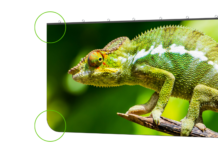Rounded Or 90 Degree Corners Chameleon 706X530 Image