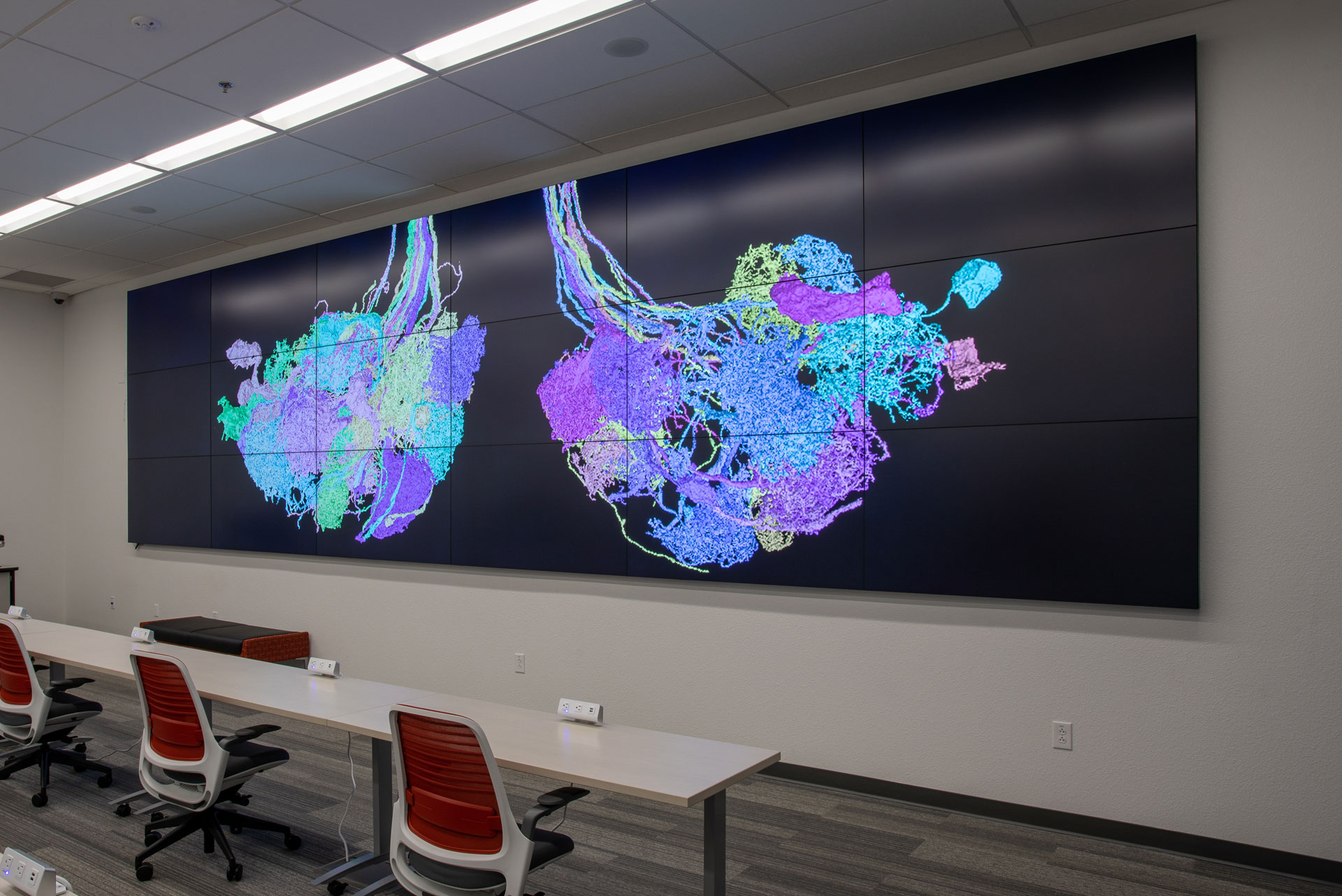 University of New Mexico Image