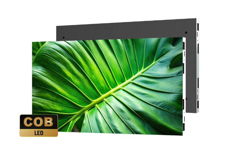 Planar Komodo 730X486 (1) Image